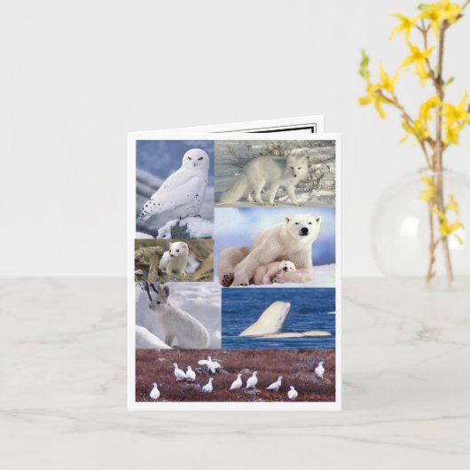 Carte blanche (Fleur jaune)