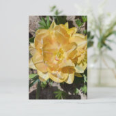 Carte blanche à fleur de tulipe jaune triple (Debout devant)