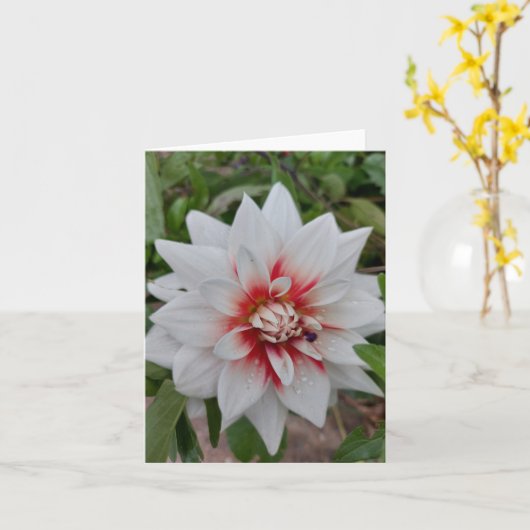 Carte blanche à fleurs Dahlia (Fleur jaune)