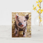 Carte blanche adorable pour porcelet (Fleur jaune)