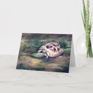 Carte blanche Angel Tortoise