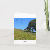 Carte blanche, Arbre de chêne (Dos)