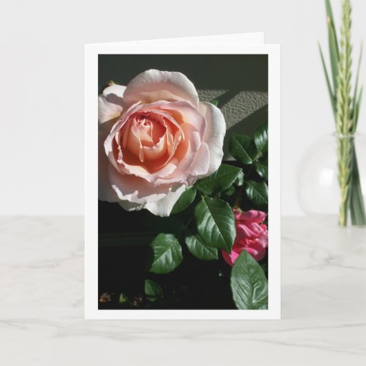 Carte blanche au rose #2 (Devant)