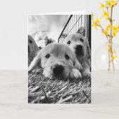 Carte blanche avec chiots (Fleur jaune)