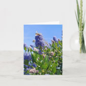 Carte blanche avec fleurs de lilas (Devant)