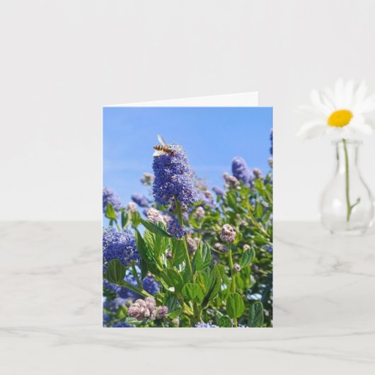 Carte blanche avec fleurs de lilas (Petite plante)