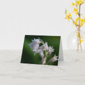 Carte blanche Bluebell (Fleur jaune)