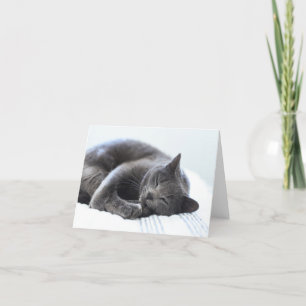 Carte blanche chat gris mignonne