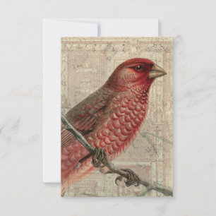 Carte blanche Collage d'oiseaux vintage