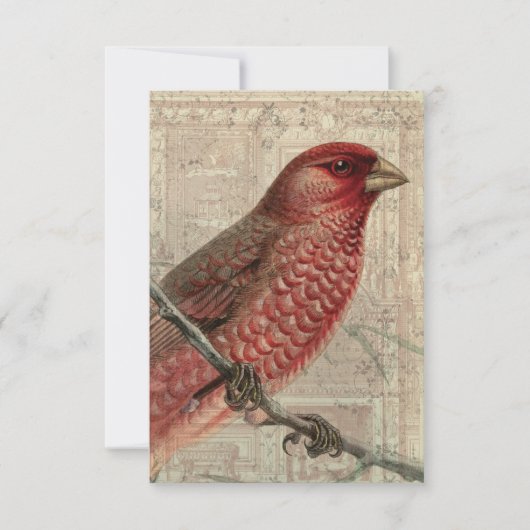 Carte blanche Collage d'oiseaux vintage (Devant)