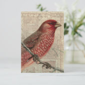 Carte blanche Collage d'oiseaux vintage (Debout devant)
