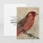 Carte blanche Collage d'oiseaux vintage (Devant / Derrière)