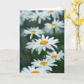Carte blanche Daisy (Fleur jaune)