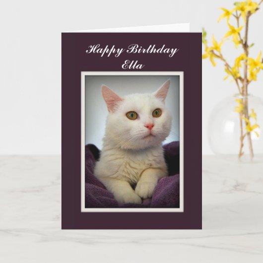 Carte blanche de chat de joyeux anniversaire (Fleur jaune)