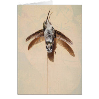 Carte blanche de colibri par Andrew Denman