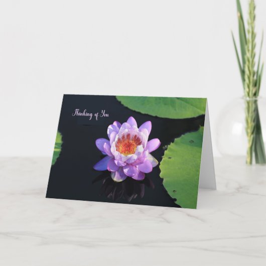 Carte blanche de la feuille d'eau (Devant)