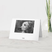 Carte blanche de Labrador Retriever (Dos)