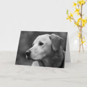 Carte blanche de Labrador Retriever (Fleur jaune)