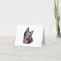 Carte blanche de l'image Schipperke