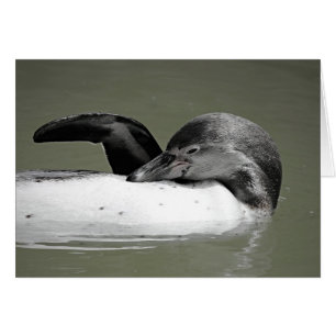 Carte blanche de natation en pingouin mignonne