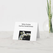 Carte blanche de note orchidée (Dos)