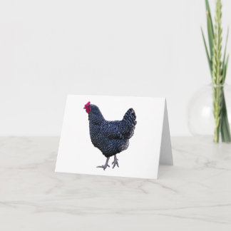 Carte blanche de poule en roche barrée