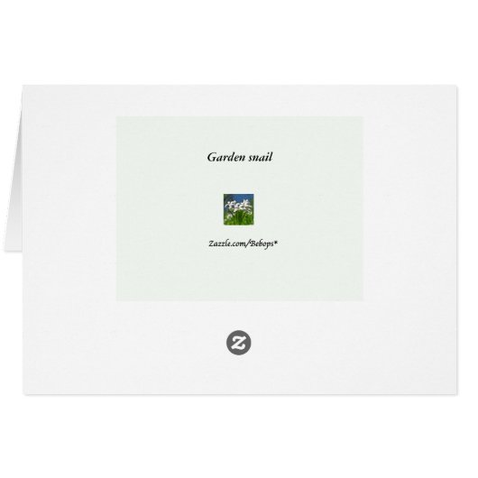 Carte blanche d'escargot (Dos Horizontal)