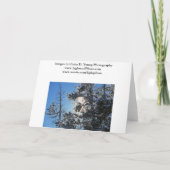 Carte blanche d'hiver (Dos)