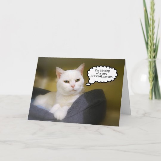 Carte Blanche D Humour D Anniversaire De Chat De Zazzle Be