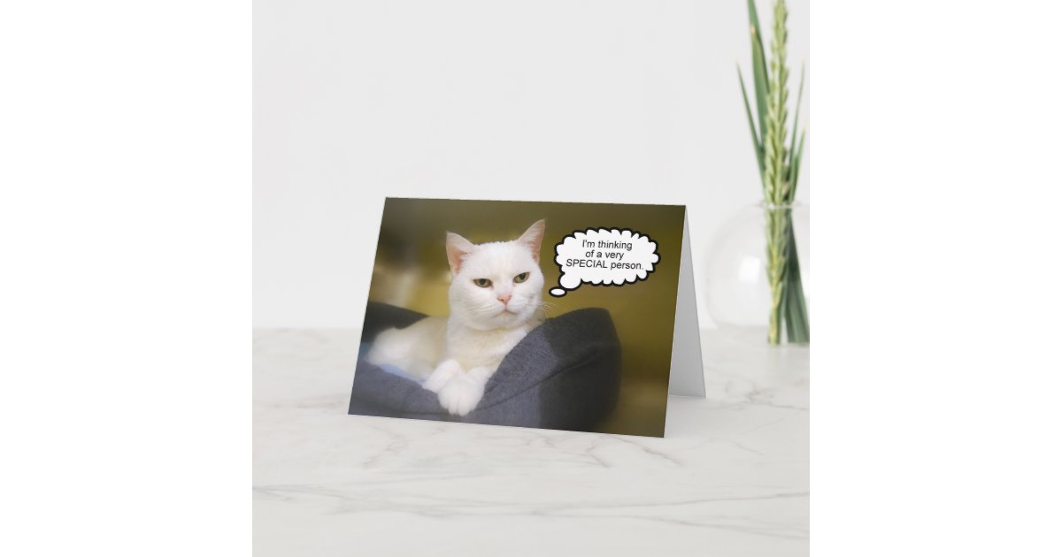 Carte Blanche D Humour D Anniversaire De Chat De Zazzle Be Carte Blanche D Humour D Anniversaire De Chat De Zazzle Be