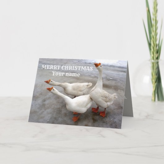 Carte blanche d'oie (Devant)