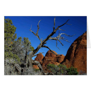 Carte blanche du parc national Arches