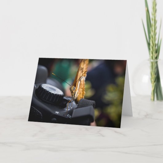 Carte blanche du photographe de papillon (Devant)