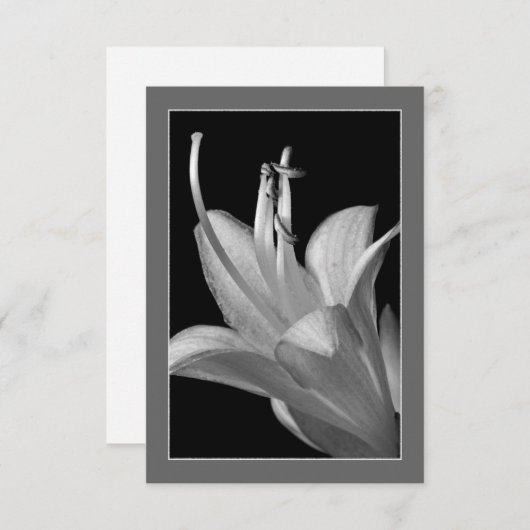 Carte blanche et noire ornée de fleurs Hosta (Devant / Derrière)