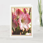 Carte blanche et rouge Amaryllis (Devant)