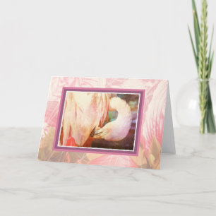 Carte blanche Flamant rose