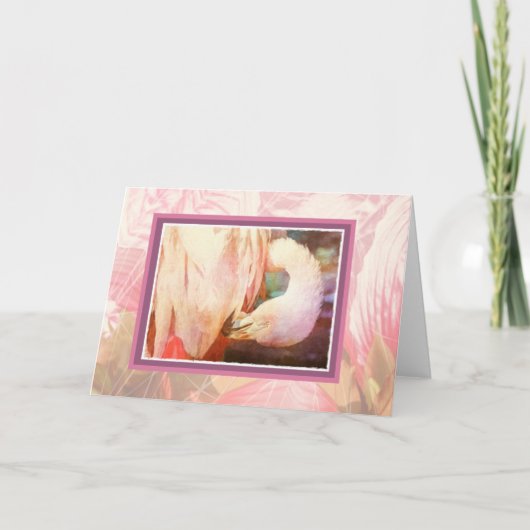 Carte blanche Flamant rose (Devant)