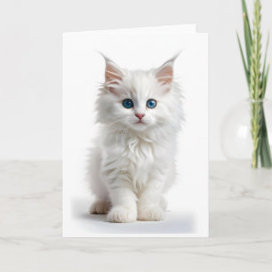 Carte blanche Fluffy Blanc Long-Haired Cat Blue Ey