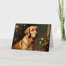 Carte blanche Golden Retriever
