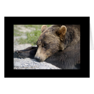 Carte blanche Grizzly Bear