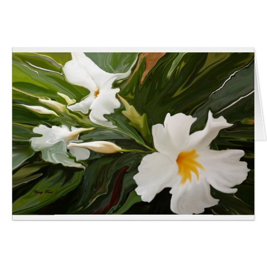 CARTE BLANCHE JASMINE (Devant horizontal)