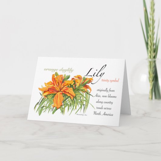 Carte blanche Lily (Devant)