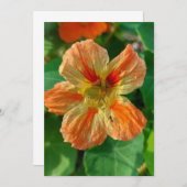 Carte blanche Nasturtium Fleur Orange (Devant / Derrière)