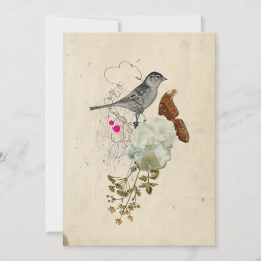 Carte blanche Oiseau et papillon (Devant)