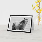 Carte blanche Onaqui Mountain Wild Horse. 5" x 7" (Fleur jaune)