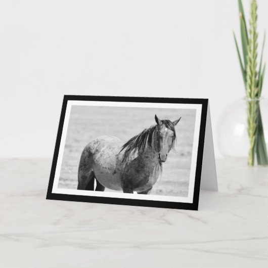 Carte blanche Onaqui Mountain Wild Horse. 5" x 7" (Devant)