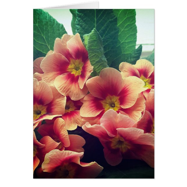 Carte blanche orange à fleurs (Devant)