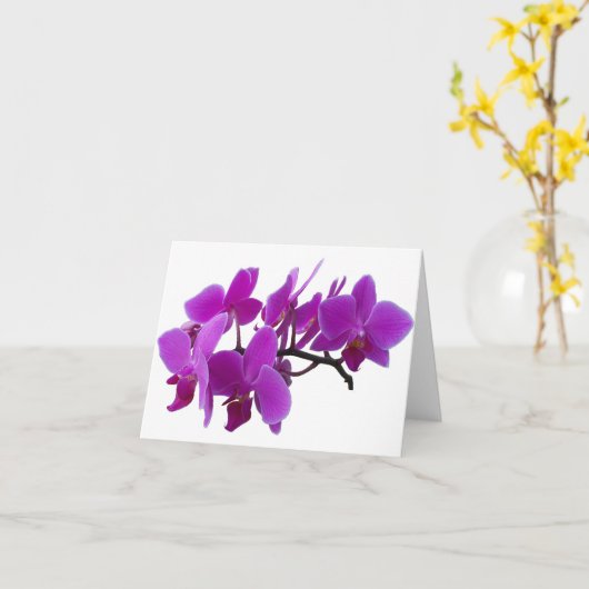 Carte blanche Orchidées violettes (Fleur jaune)