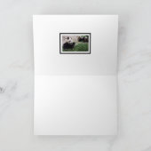 Carte blanche Panda Dream (Intérieur)