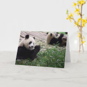 Carte blanche Panda Dream (Fleur jaune)